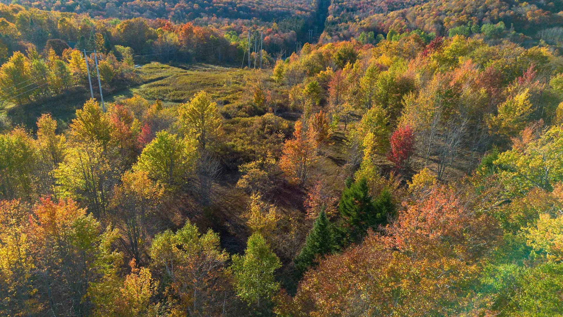 194 Route 8 Searsburg VT 05363