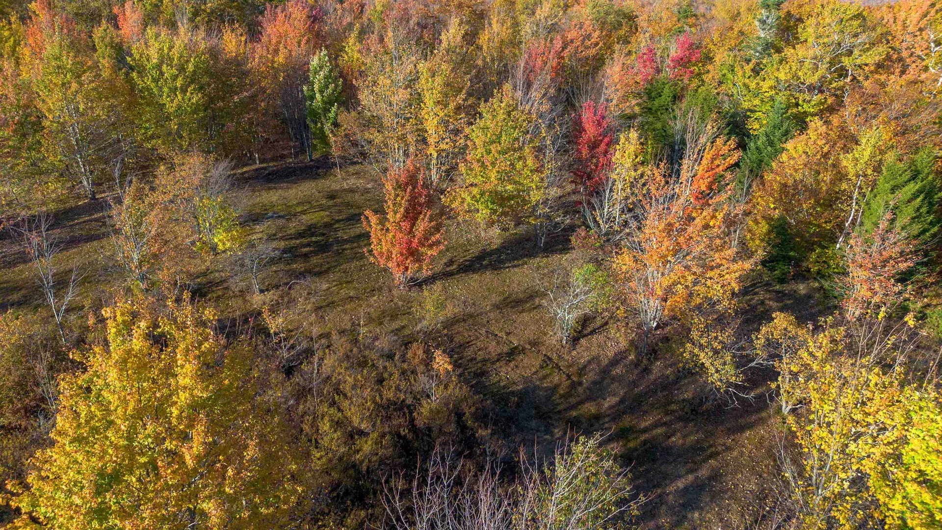 194 Route 8 Searsburg VT 05363