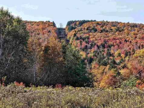 194 Route 8 Searsburg VT 05363