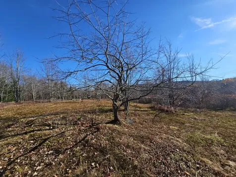 194 Route 8 Searsburg VT 05363