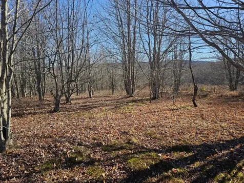 194 Route 8 Searsburg VT 05363