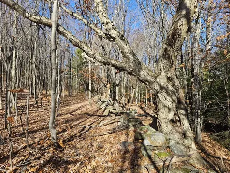 194 Route 8 Searsburg VT 05363