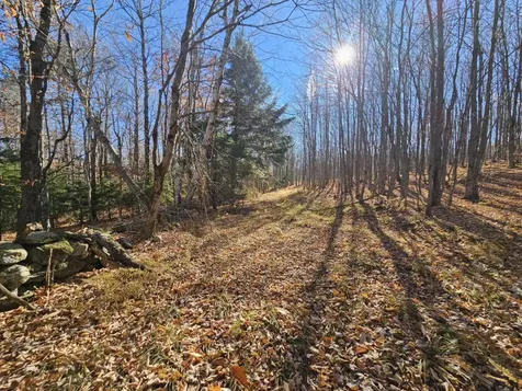 194 Route 8 Searsburg VT 05363