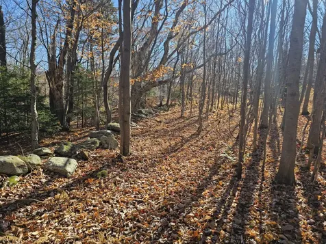 194 Route 8 Searsburg VT 05363