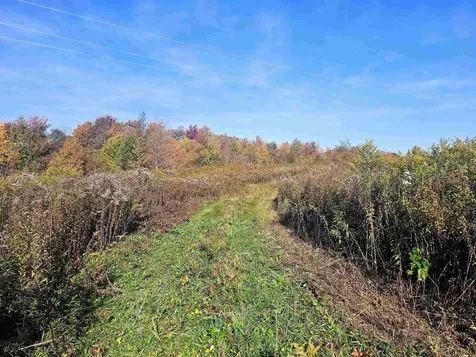 194 Route 8 Searsburg VT 05363