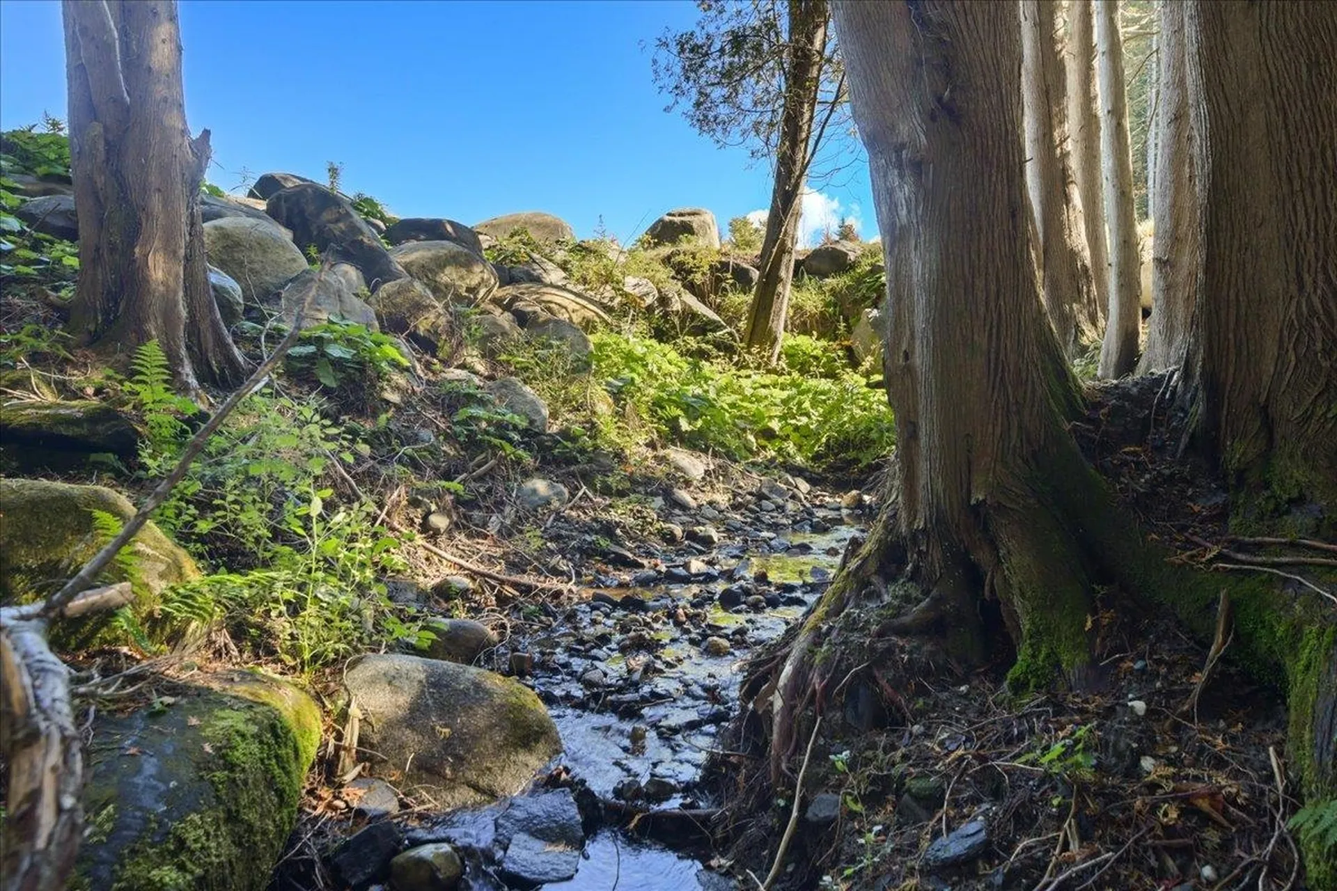 60 Petes Pond Road Hardwick VT 05836