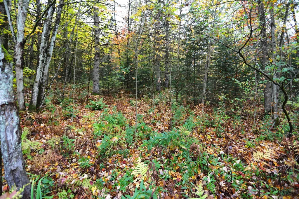 53 Cross Road Derby VT 05829