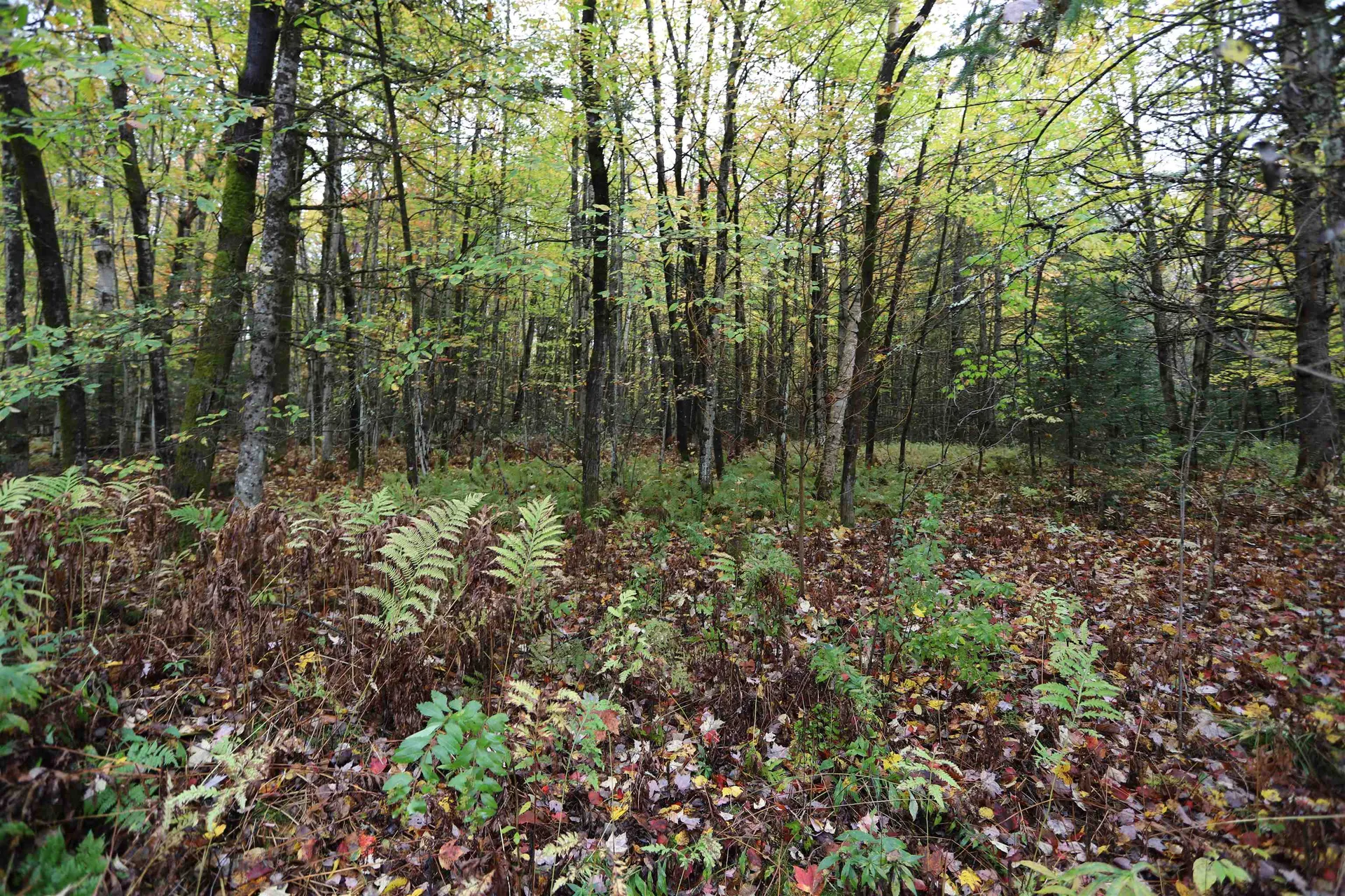 53 Cross Road Derby VT 05829