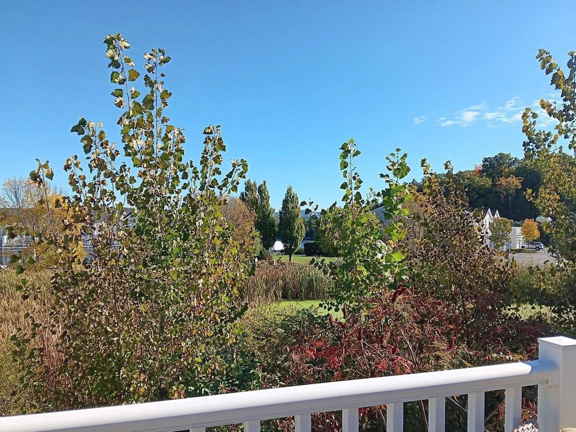 29 Marina Loop Colchester VT 05446
