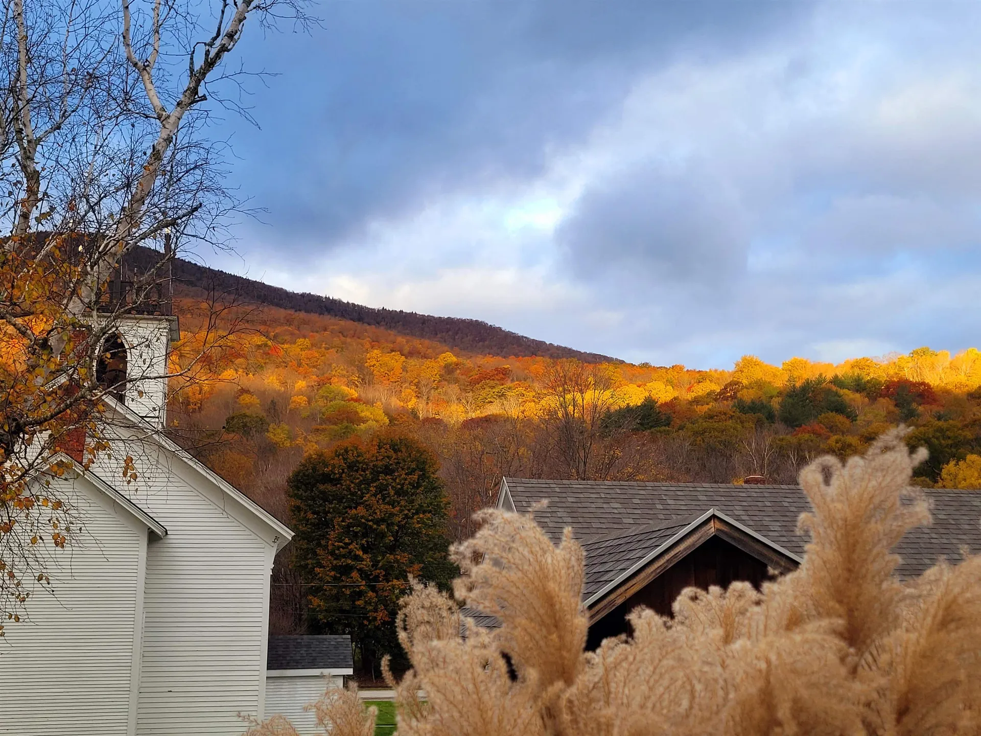 109 Mad Tom Road Dorset VT 05253