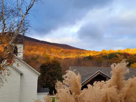 109 Mad Tom Road Dorset VT 05253