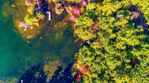 Lot 1-37 Whortleberry Island Tuftonboro NH 03816