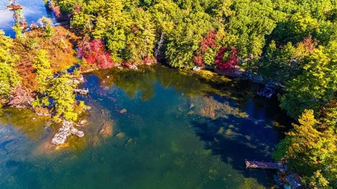 Lot 1-37 Whortleberry Island Tuftonboro NH 03816