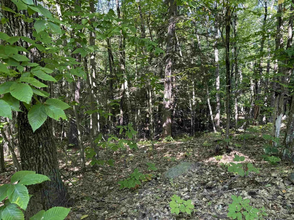 21 Circuit Road Ossipee NH 03864