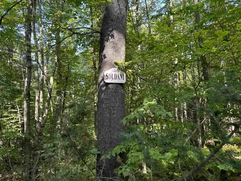 21 Circuit Road Ossipee NH 03864