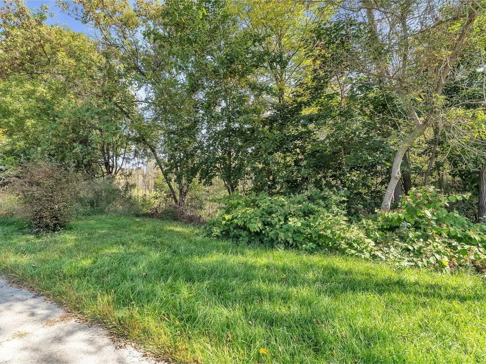 2 Comfort Hill Street Vergennes VT 05491