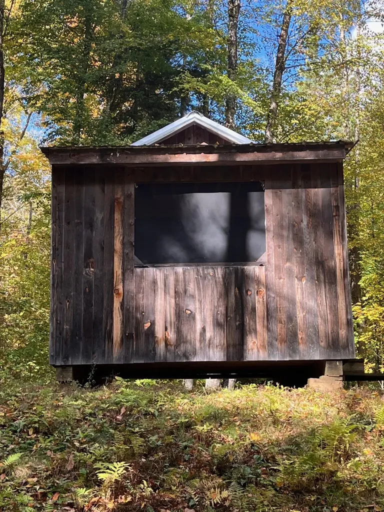 1154 High Pond Road Brandon VT 05733