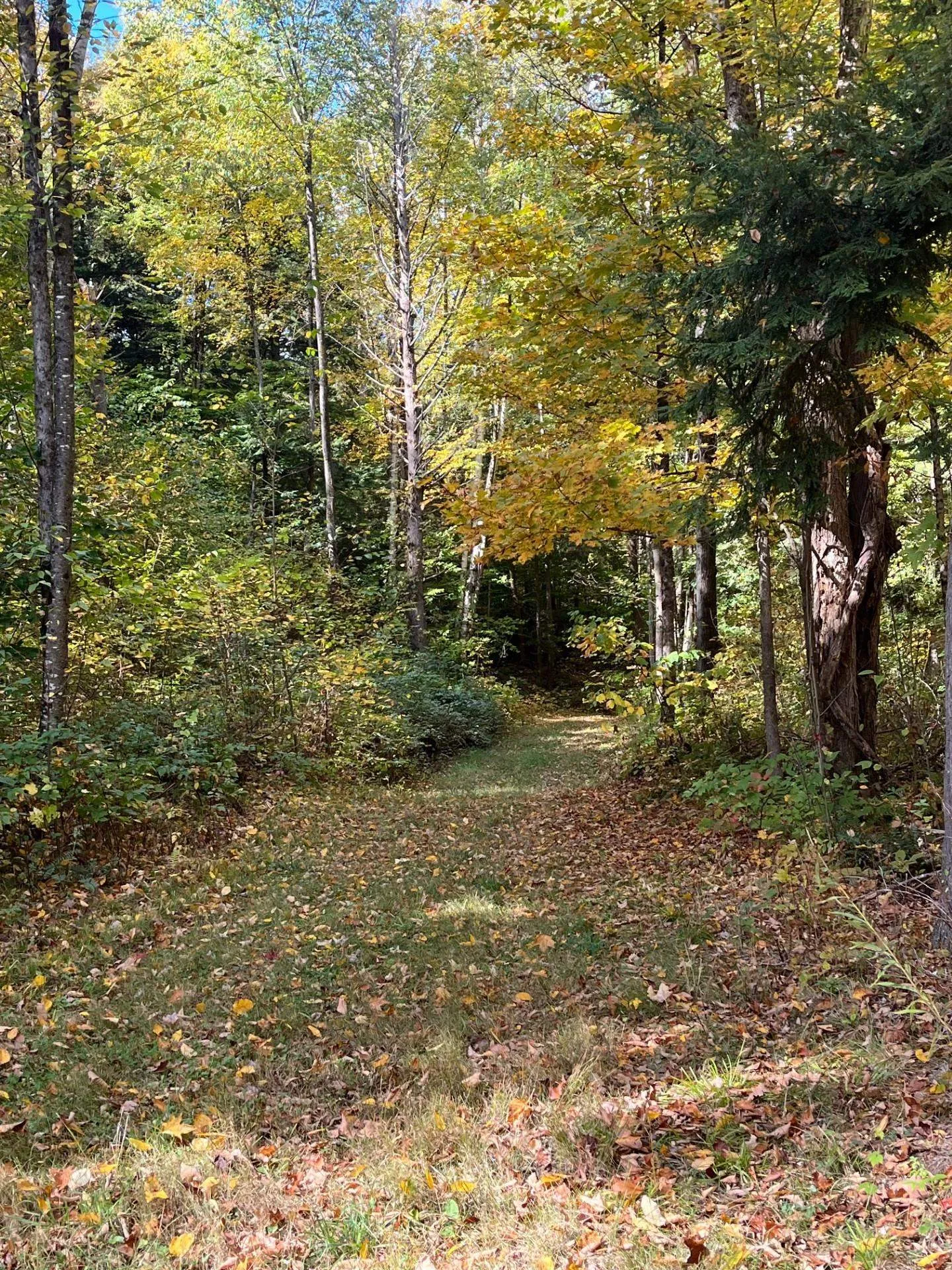 1154 High Pond Road Brandon VT 05733