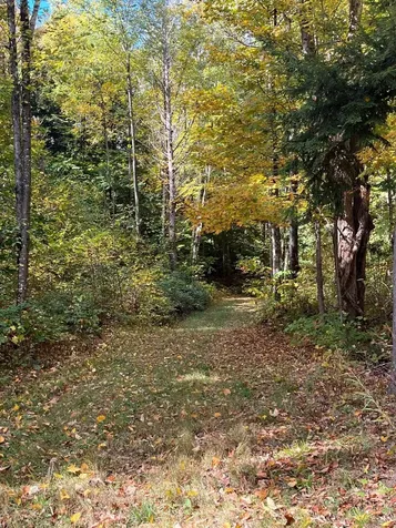 1154 High Pond Road Brandon VT 05733