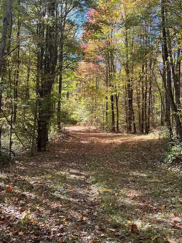 1154 High Pond Road Brandon VT 05733