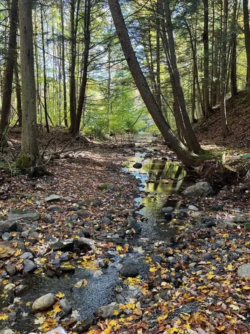 1154 High Pond Road Brandon VT 05733