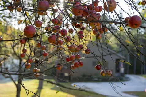 1154 High Pond Road Brandon VT 05733