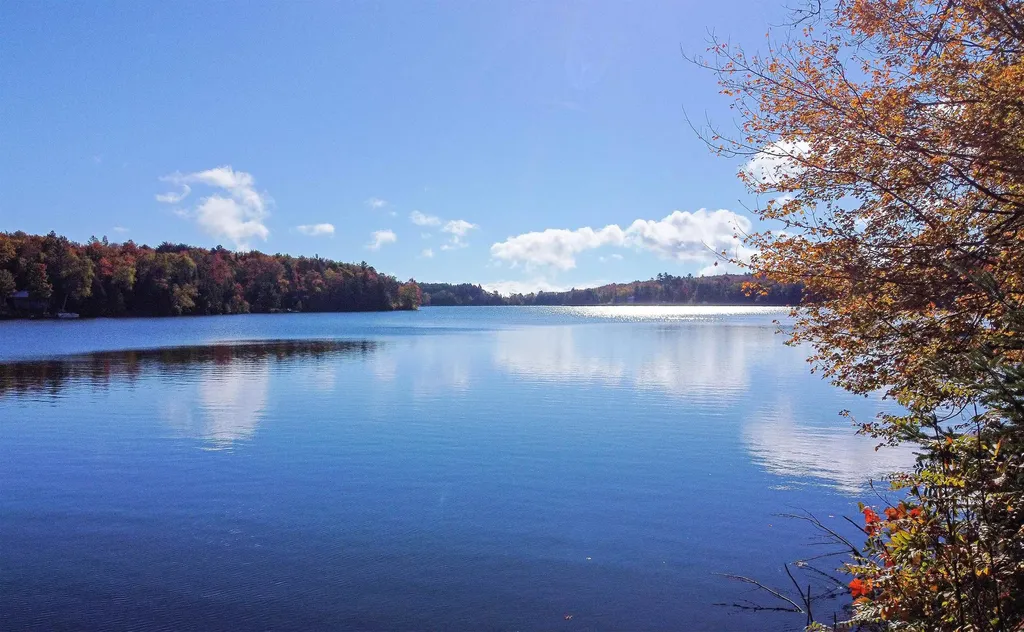 1003 Devils Hill Road Peacham VT 05862