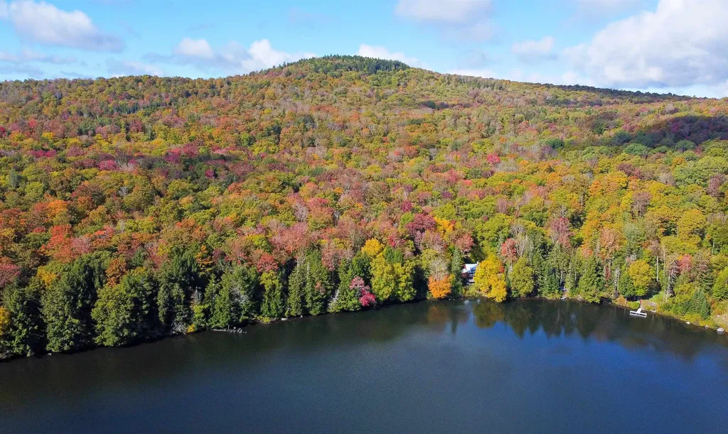 1003 Devils Hill Road Peacham VT 05862