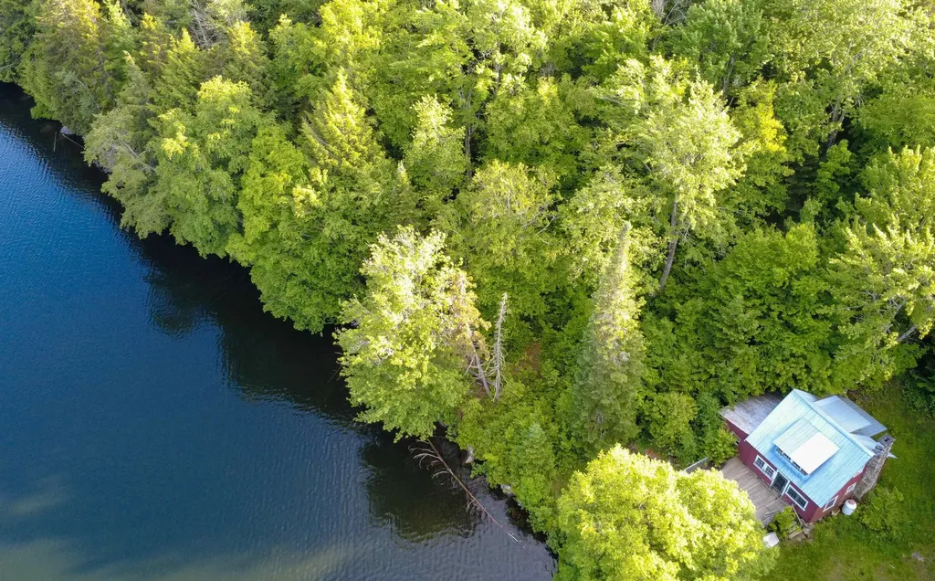 1003 Devils Hill Road Peacham VT 05862