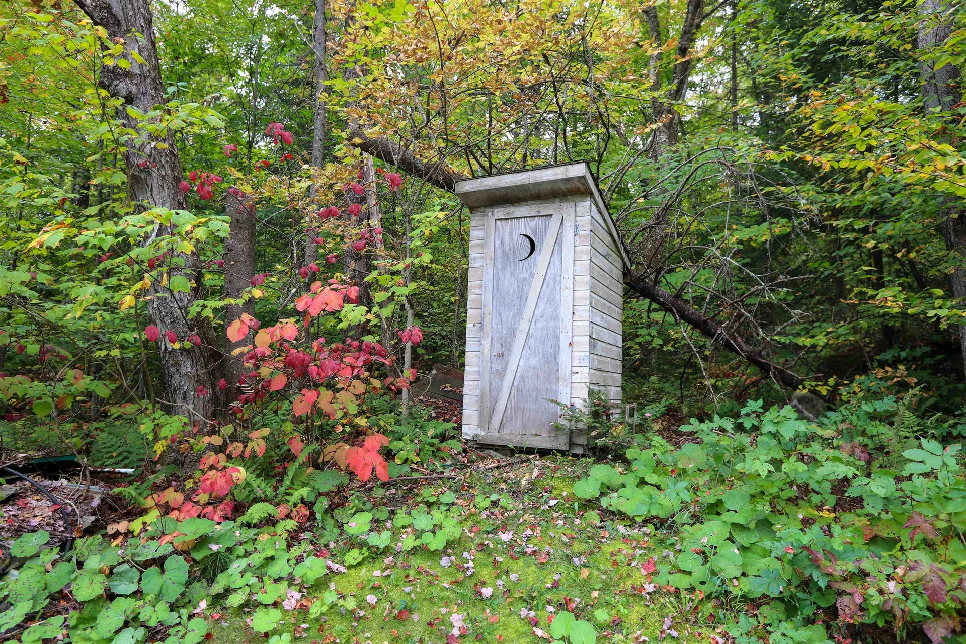 1003 Devils Hill Road Peacham VT 05862