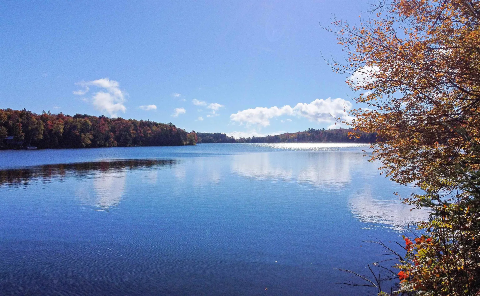 1003 Devils Hill Road Peacham VT 05862