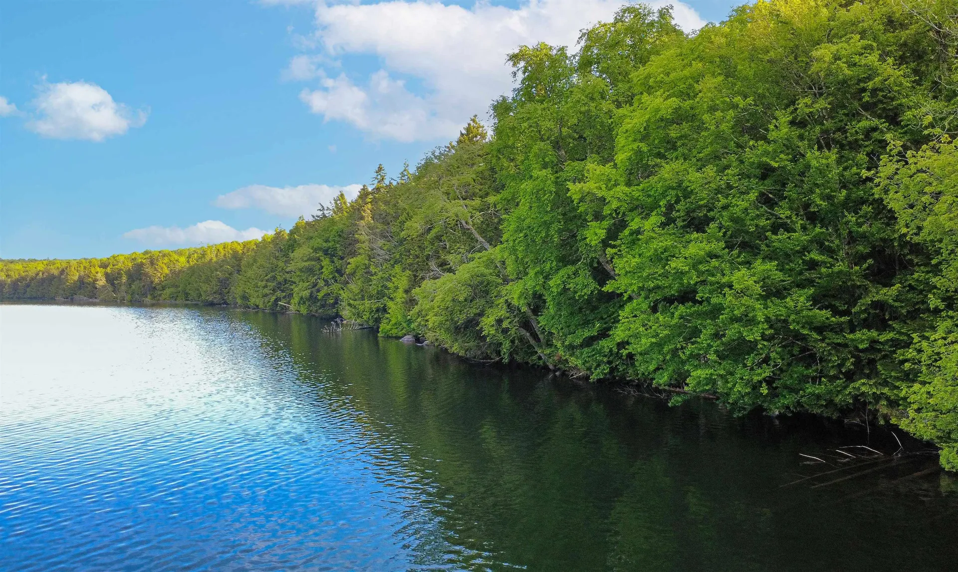 1003 Devils Hill Road Peacham VT 05862