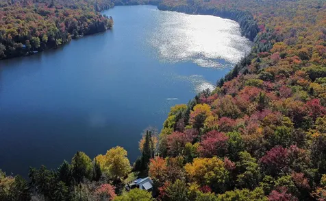 1003 Devils Hill Road Peacham VT 05862