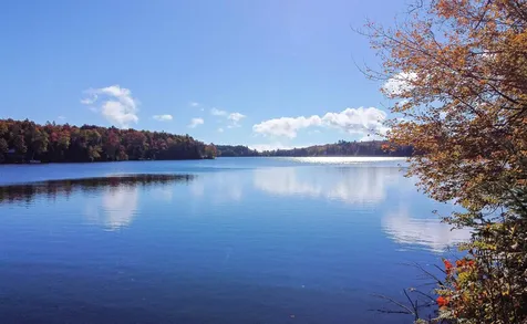 1003 Devils Hill Road Peacham VT 05862