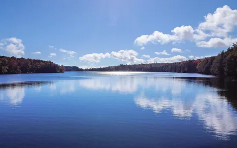 1003 Devils Hill Road Peacham VT 05862