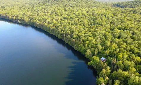 1003 Devils Hill Road Peacham VT 05862