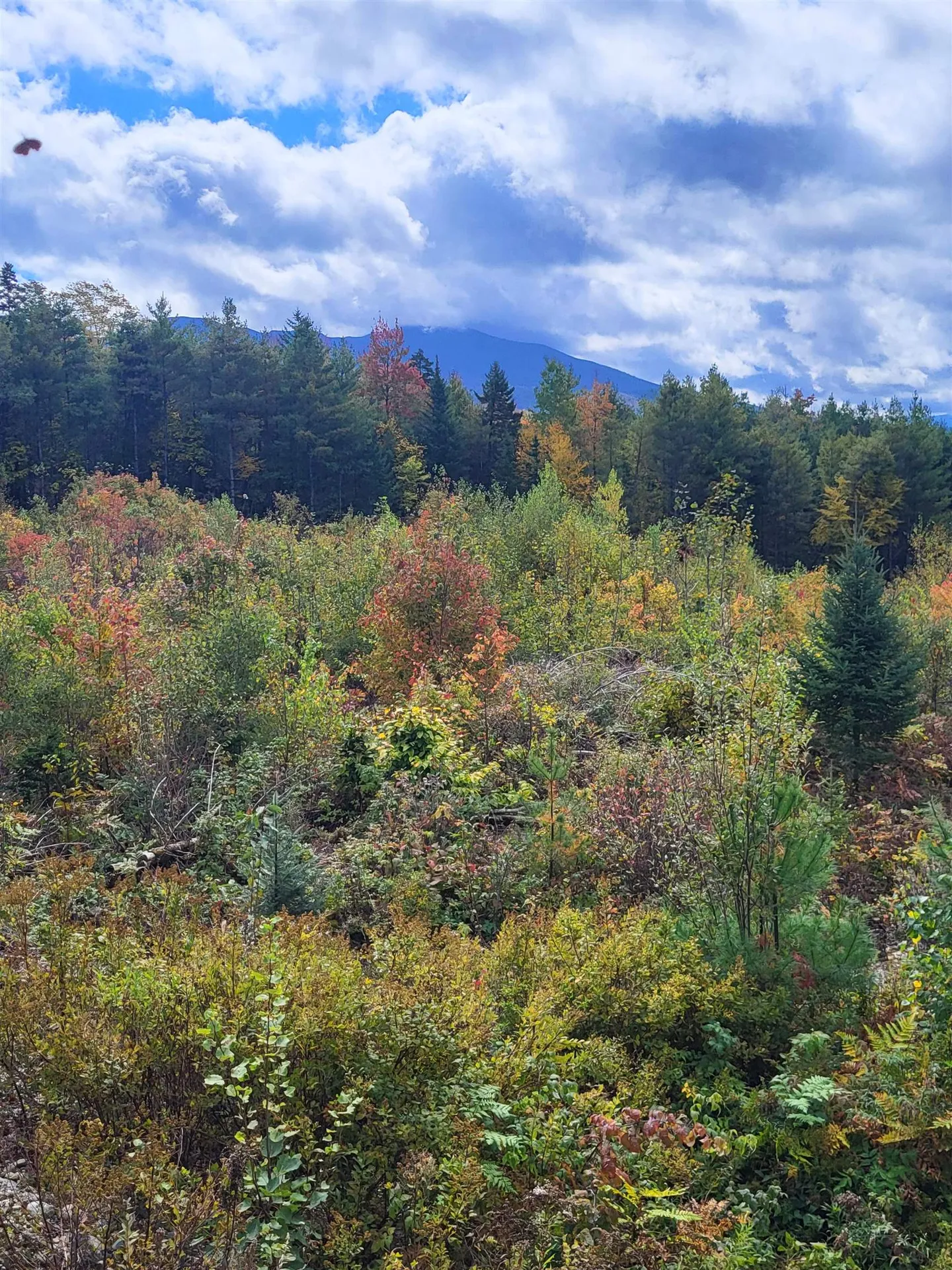 22.4.6 Mckenzie Woods Road Franconia NH 03580