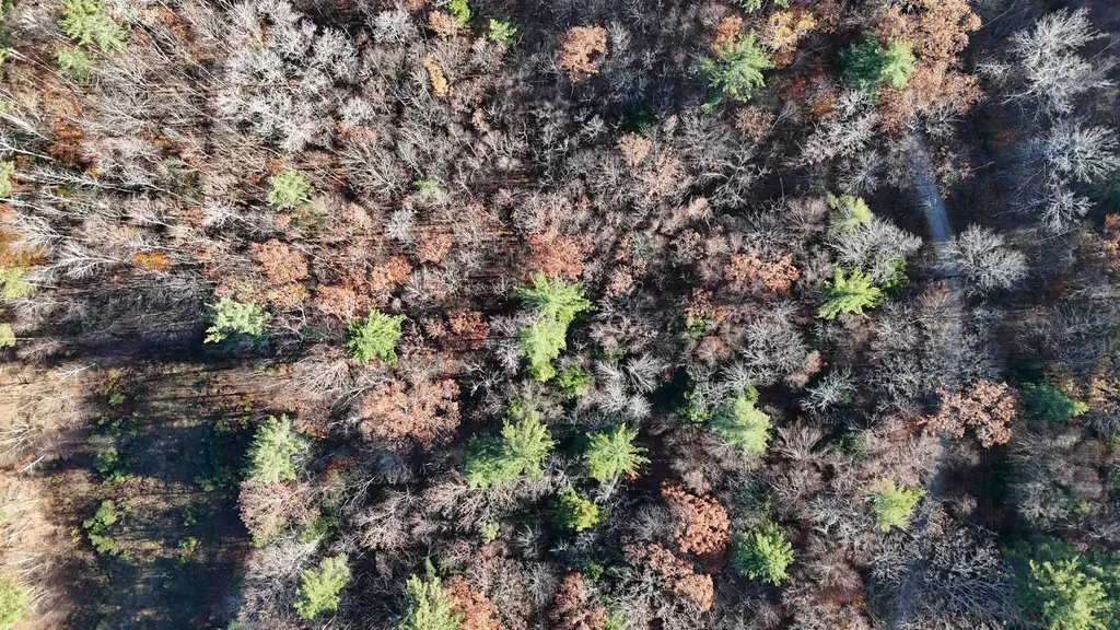 00 Whitney Road Henniker NH 03242