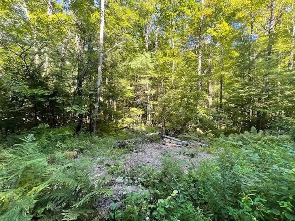 00 Whitney Road Henniker NH 03242