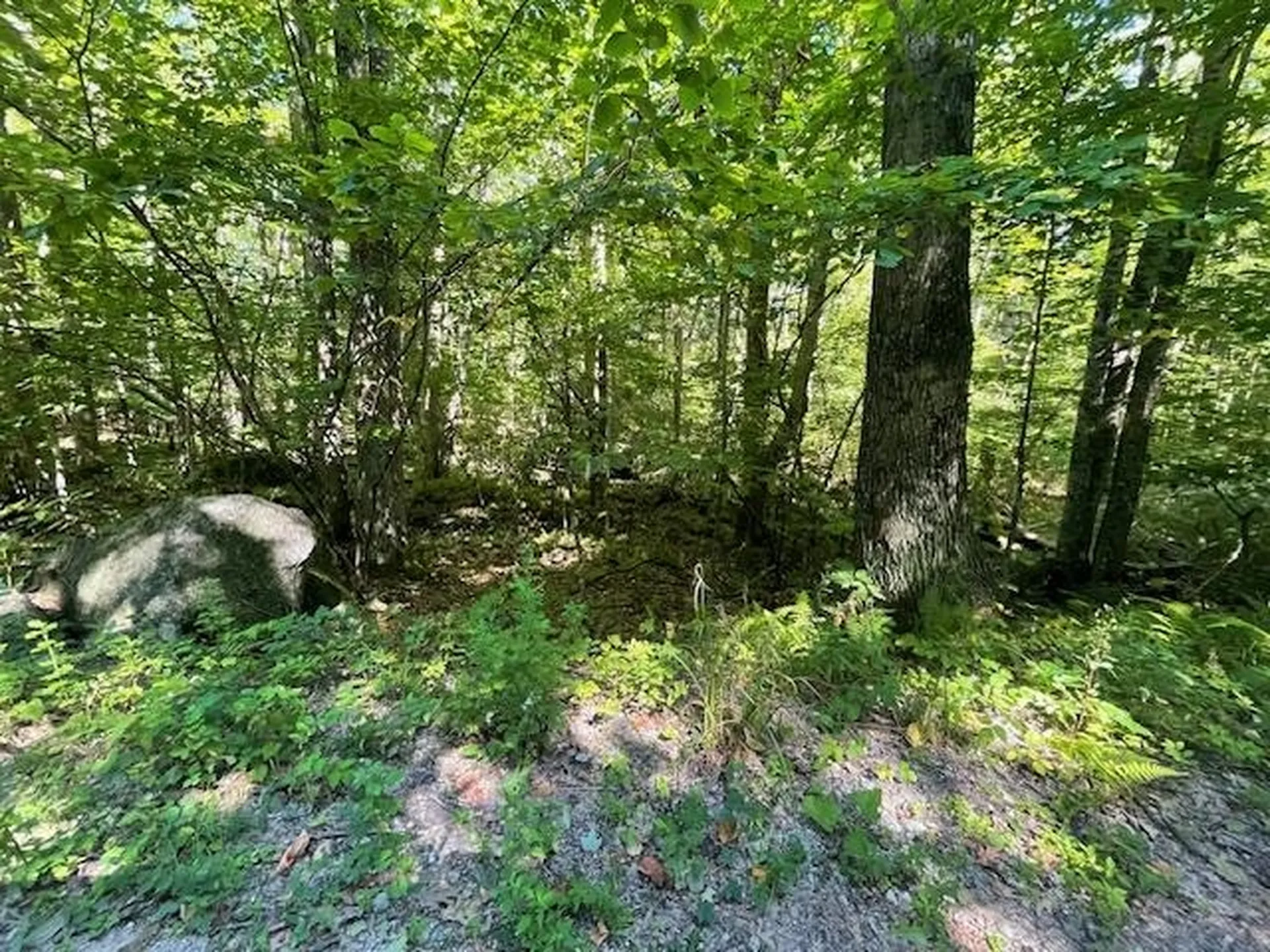00 Whitney Road Henniker NH 03242