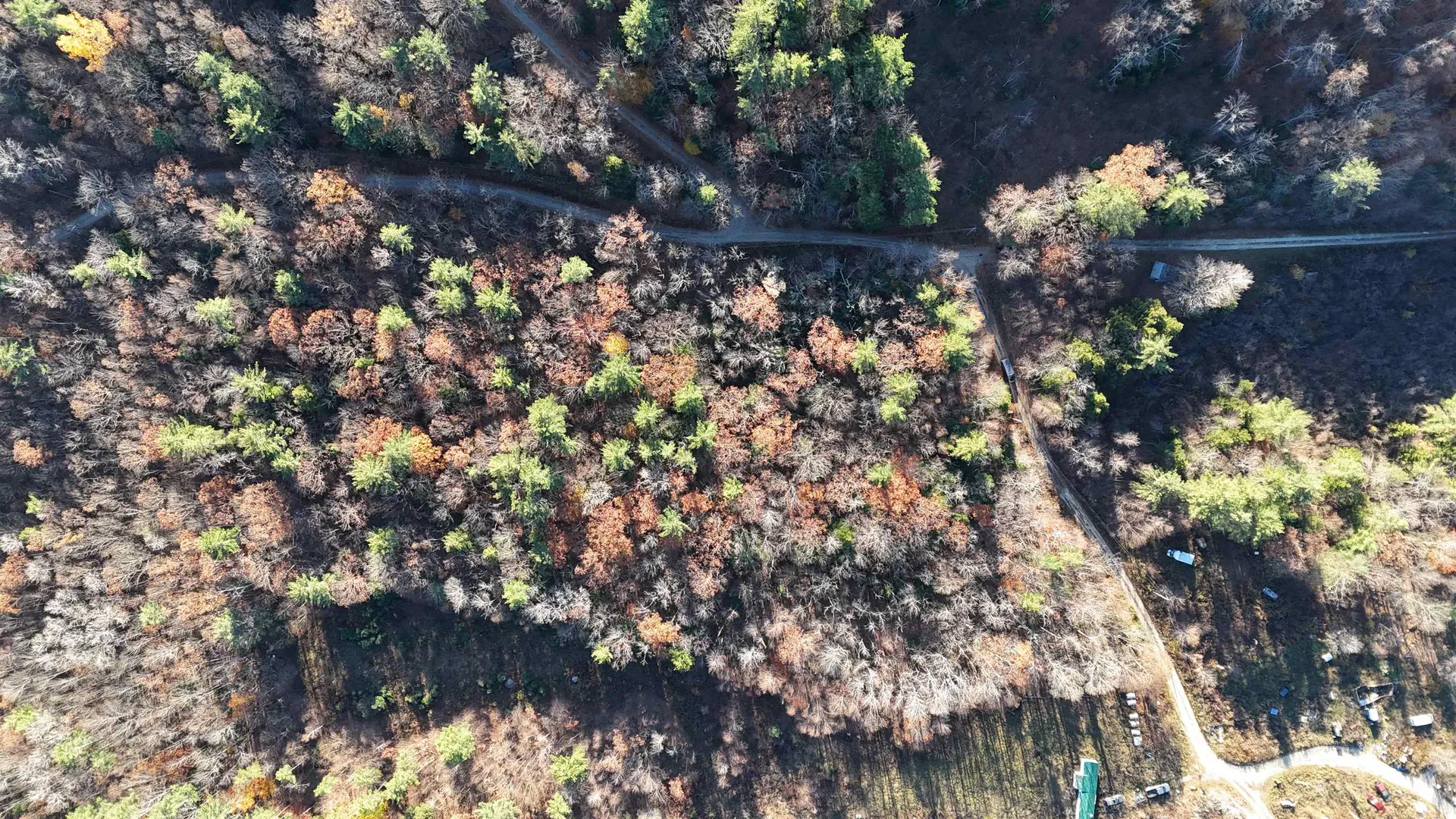 00 Whitney Road Henniker NH 03242