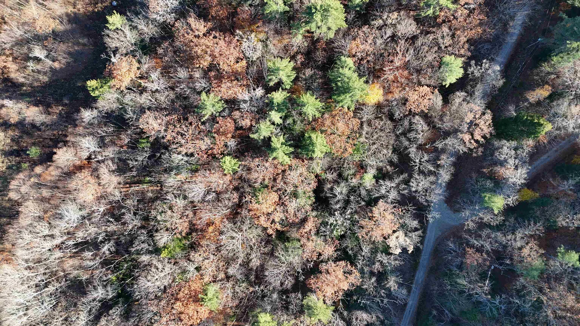 00 Whitney Road Henniker NH 03242