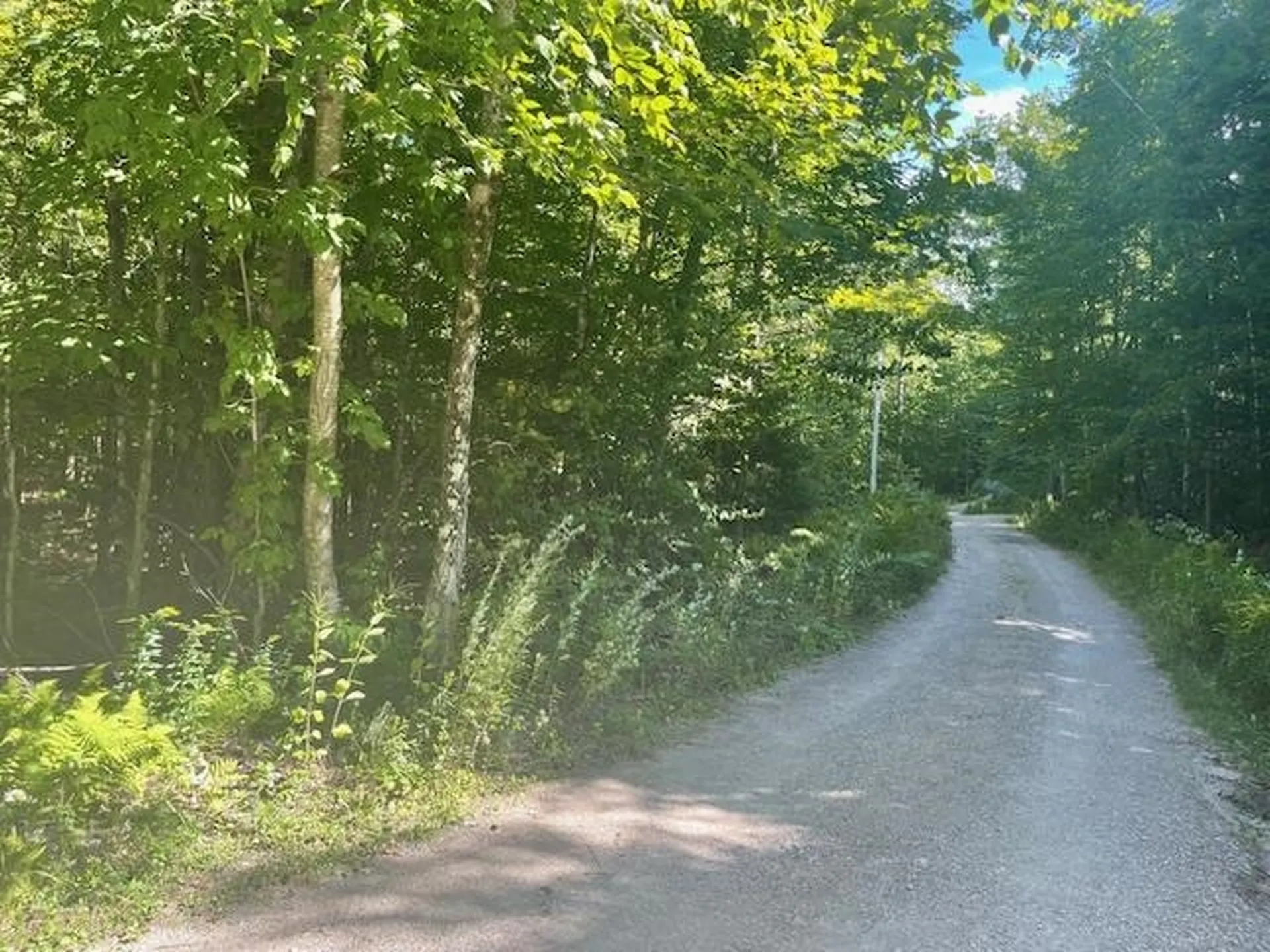 00 Whitney Road Henniker NH 03242