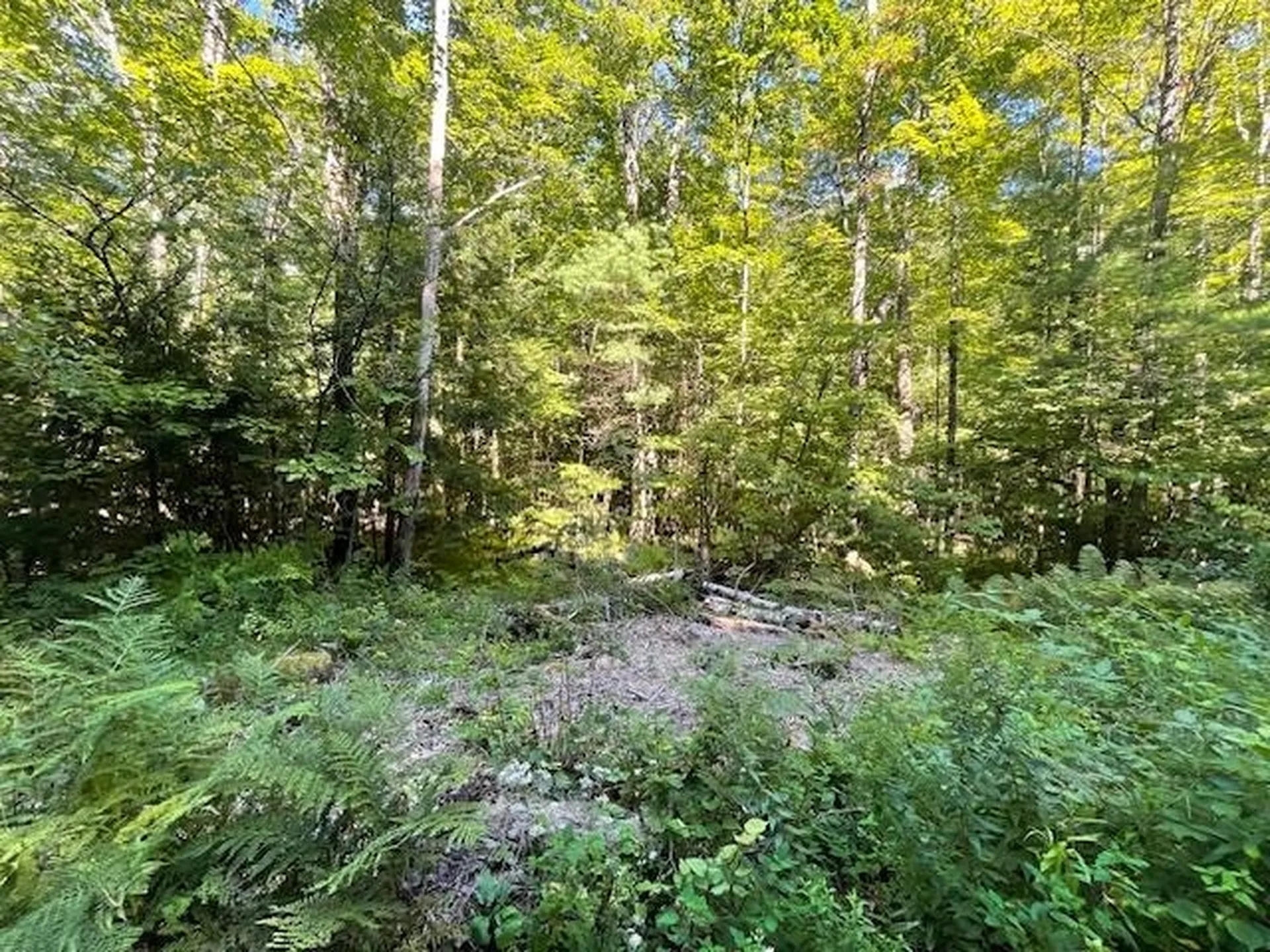 00 Whitney Road Henniker NH 03242