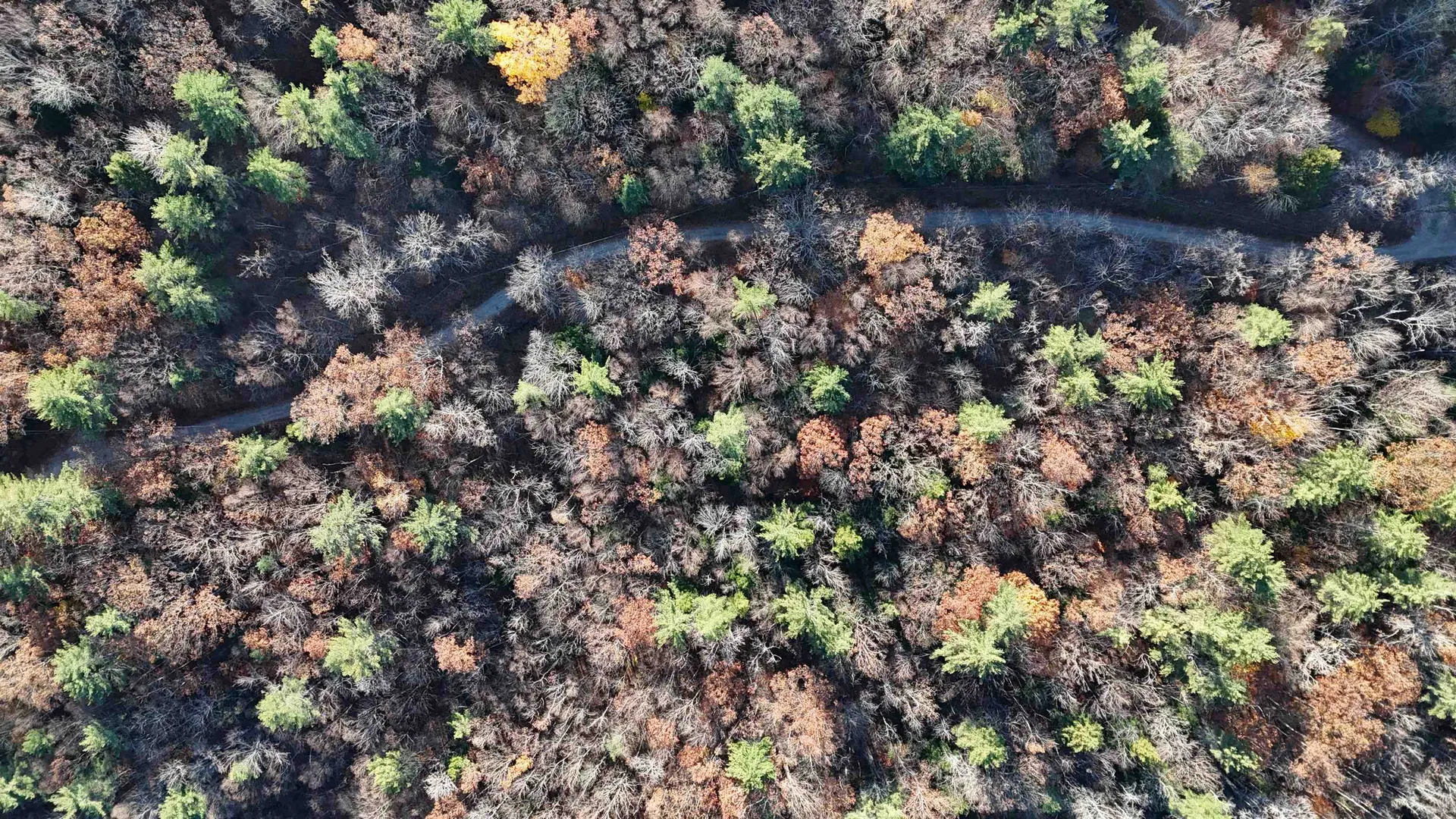 00 Whitney Road Henniker NH 03242