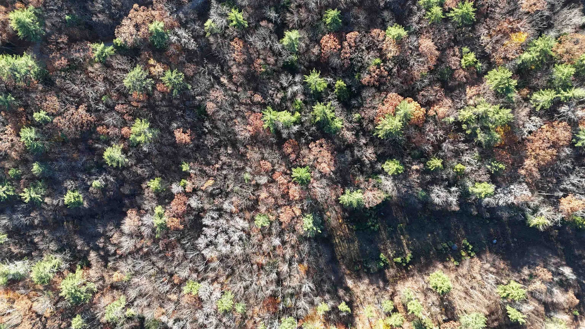 00 Whitney Road Henniker NH 03242