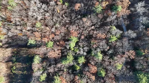 00 Whitney Road Henniker NH 03242