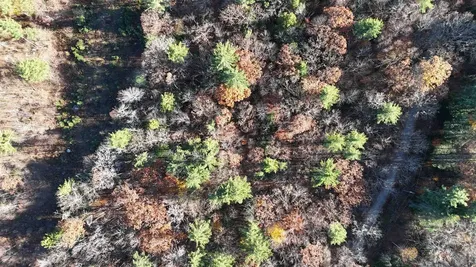 00 Whitney Road Henniker NH 03242