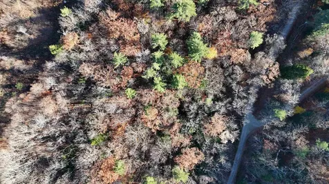 00 Whitney Road Henniker NH 03242