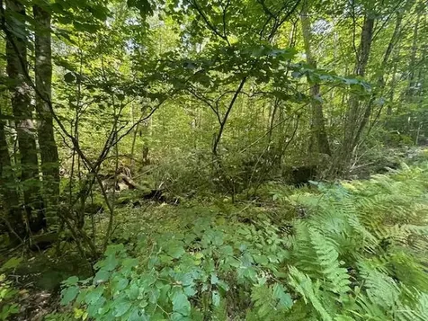 00 Whitney Road Henniker NH 03242